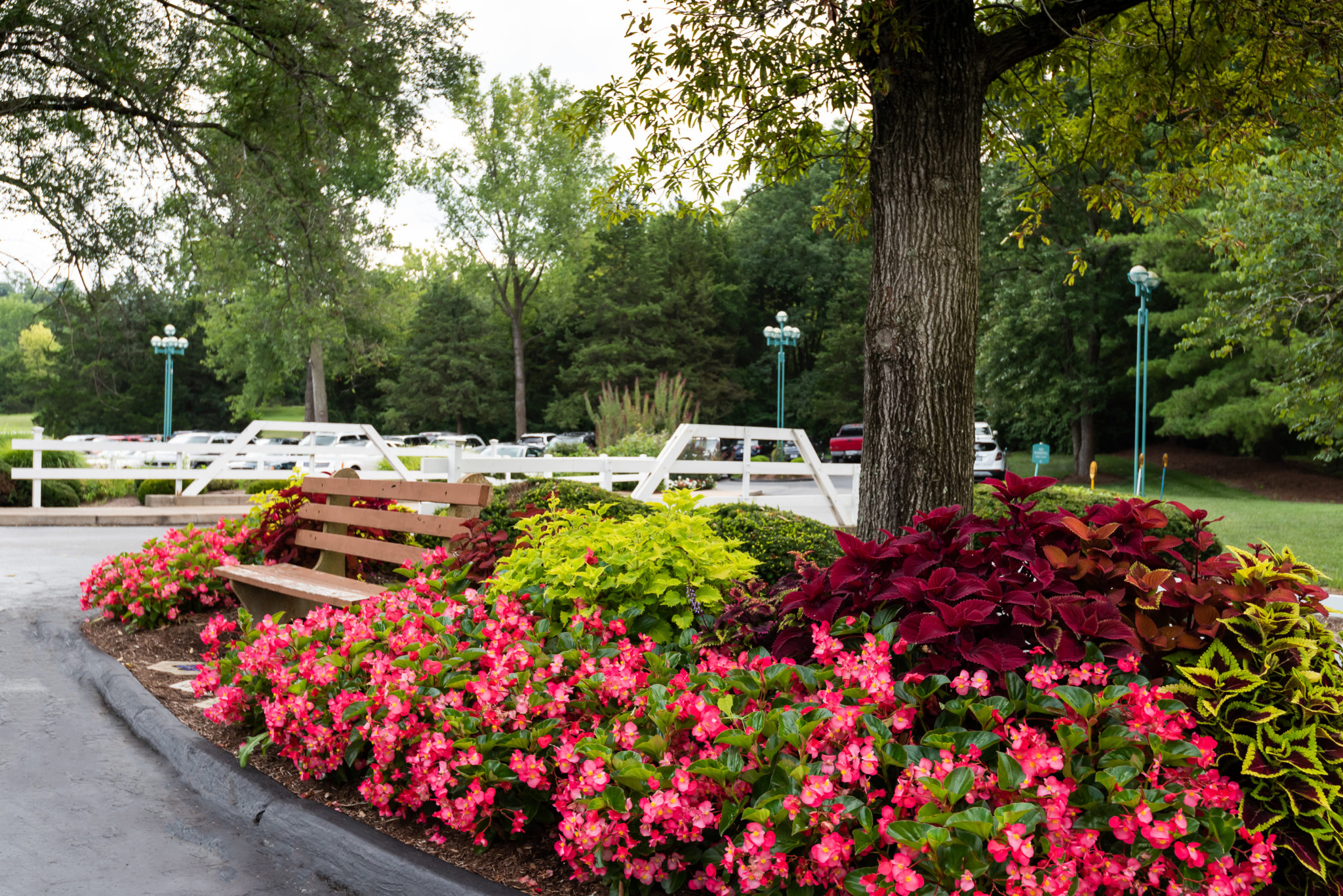 Delmar Gardens Of Meramec Valley in Fenton, MO My Caring Plan