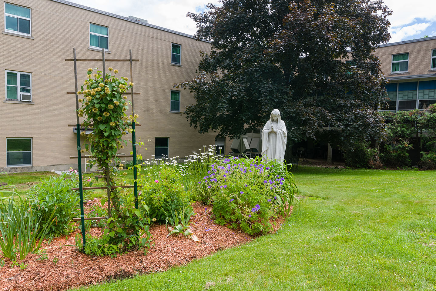 Warde Health Center in Windham, NH My Caring Plan