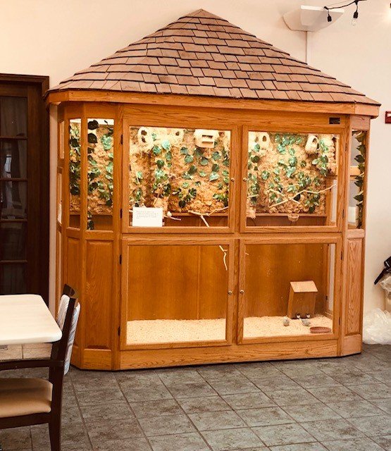 Widows Home Of Dayton in Dayton, OH My Caring Plan