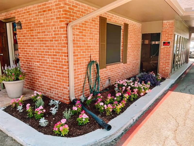 Cottonwood Nursing And Rehabilitation in Denton, TX My Caring Plan