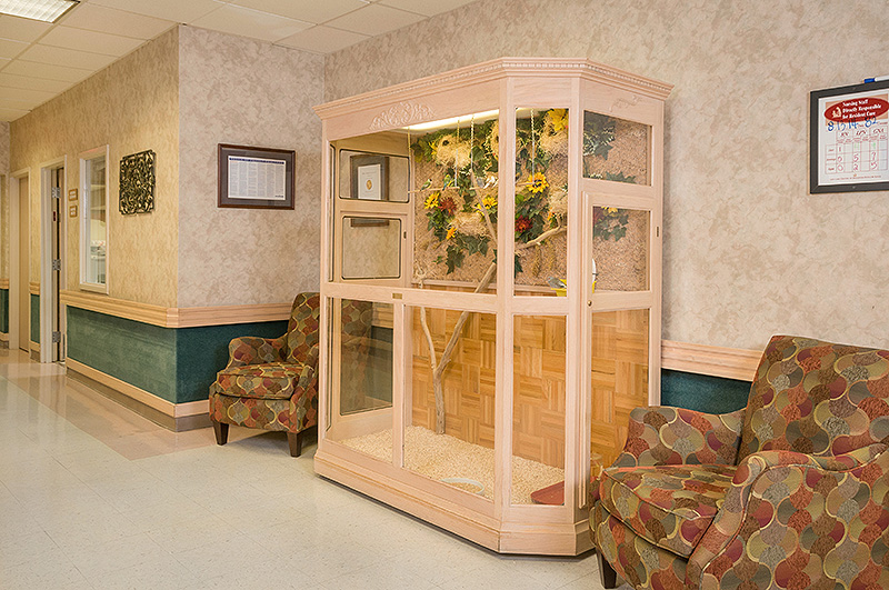 Life Care Center Of BrucetonHollow Rock in Bruceton, TN My Caring Plan