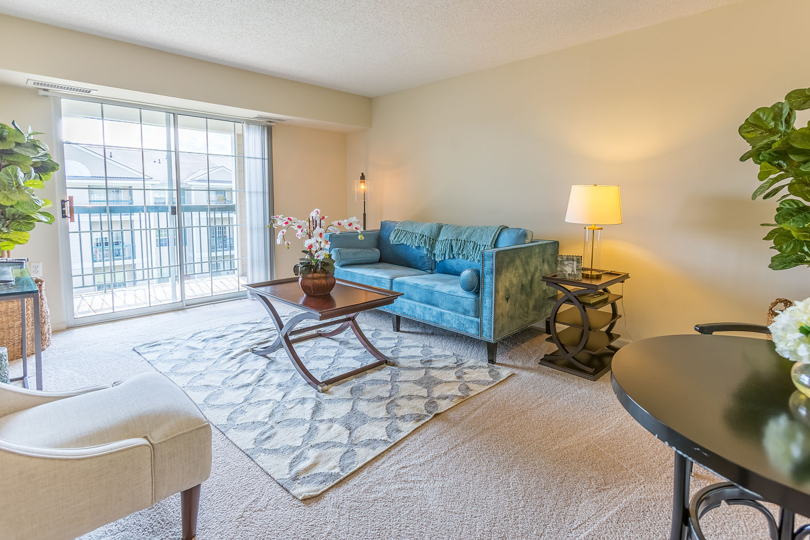 Best Respite Care Options in Naperville, Illinois - My Caring Plan