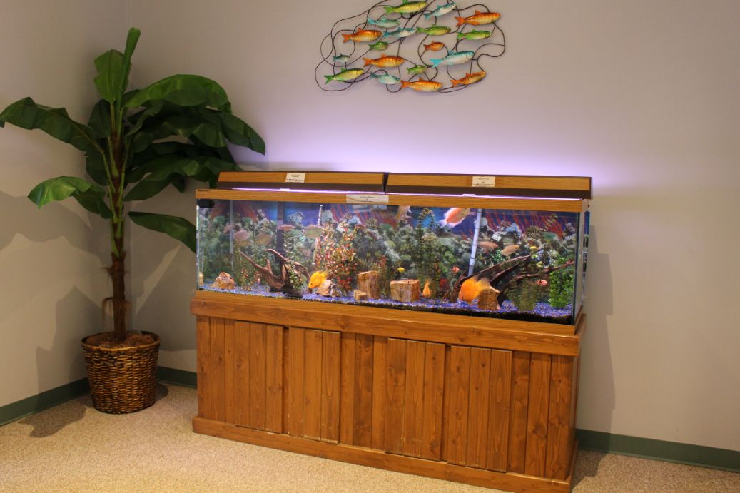 Vonderlieth Living Center Mt. Pulaski, Illinois in Mount Pulaski, IL